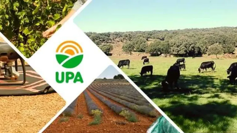 UPA Castilla-La Mancha