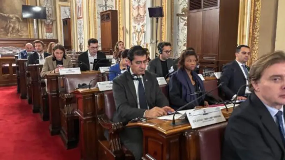 p1j9hklkjsi3vg131226glbadg4