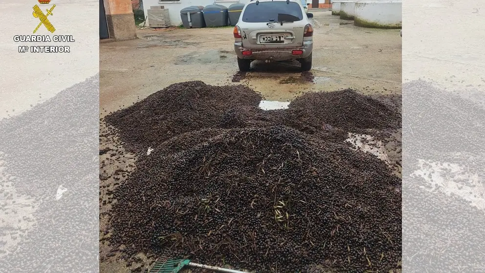 Mercanc&iacute;a sustraida