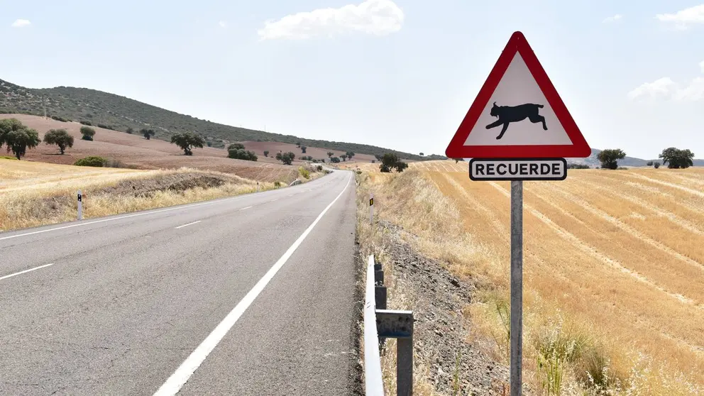 Carretera auton&oacute;mica CM-411