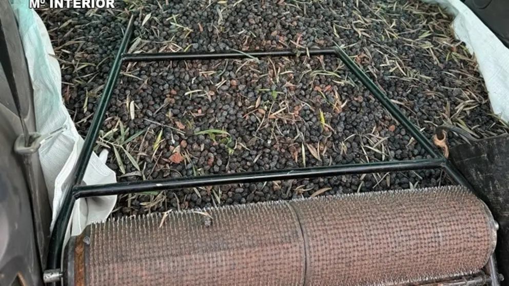 Presentaci&oacute;n2