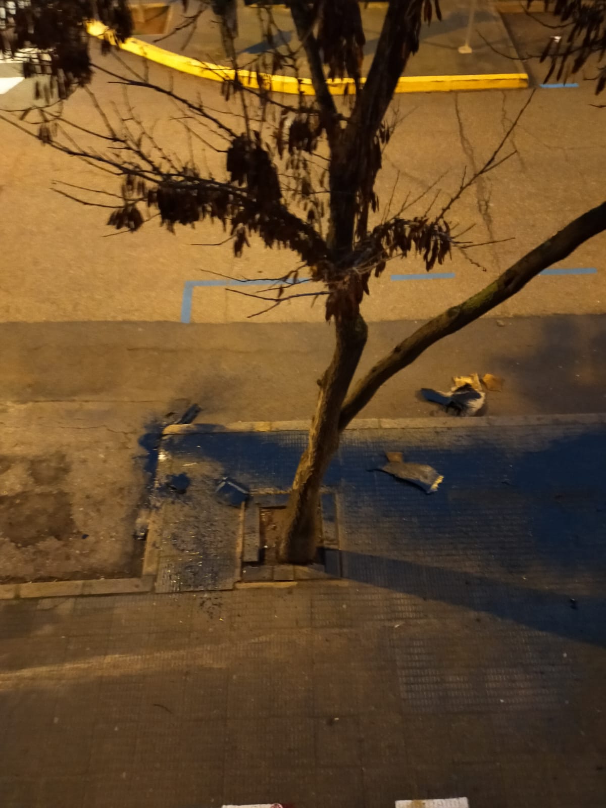 WhatsApp Image 2021-02-06 at 11.46.23 (1)