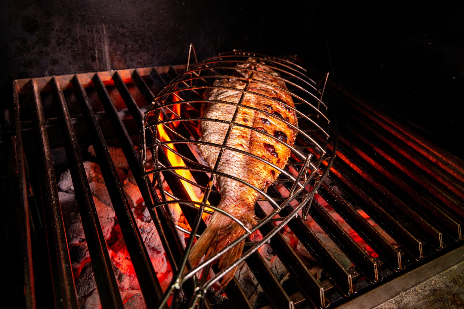 007801a6-358d-494c-9f89-b6a6ff0a29af