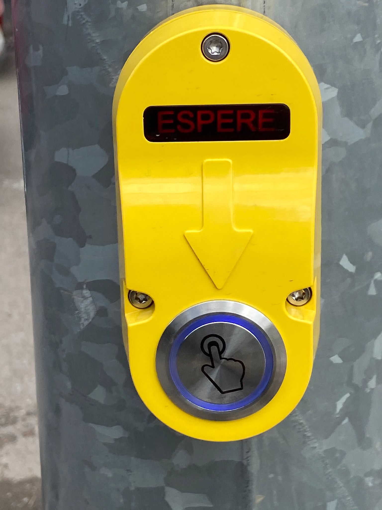 WhatsApp Image 2021-03-11 at 12.01.56