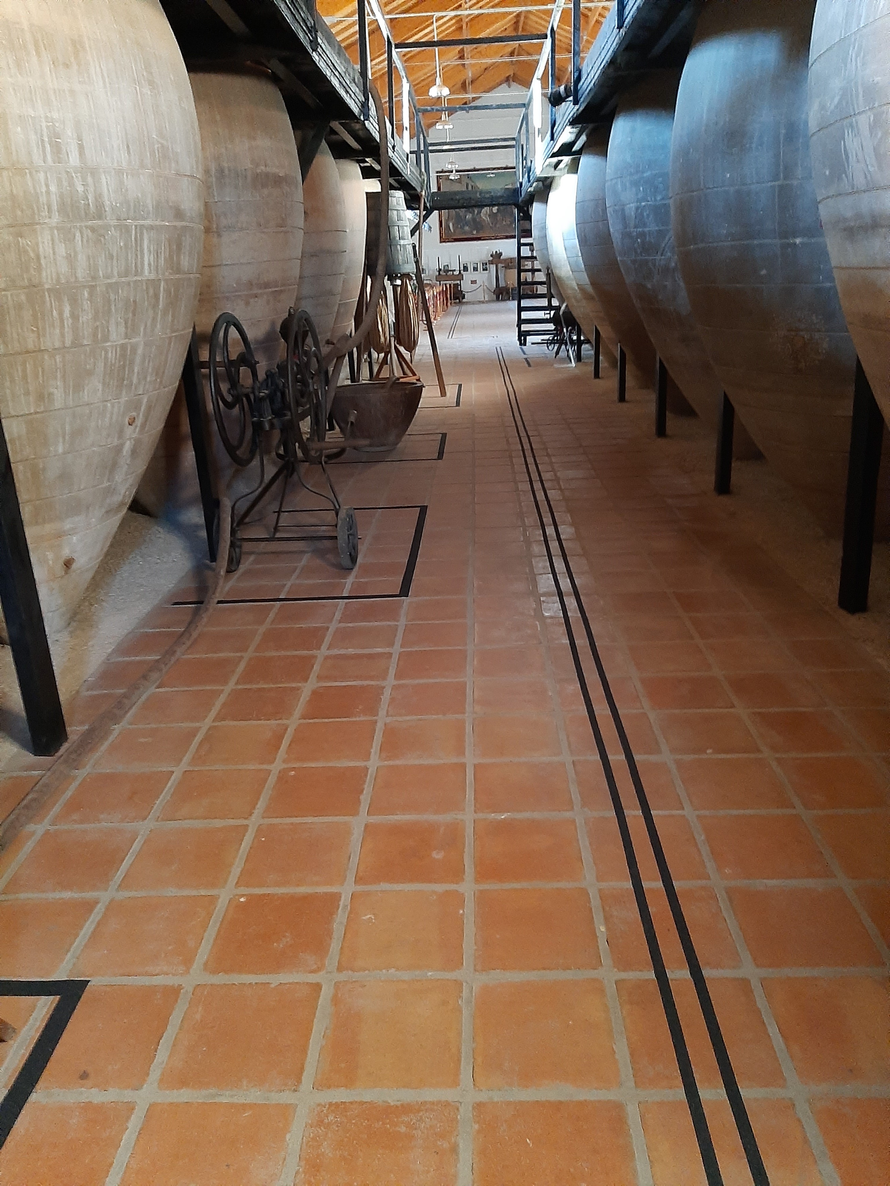 Obras de mejora para adaptar el Museo del Vino para las personas con discapacidad visual