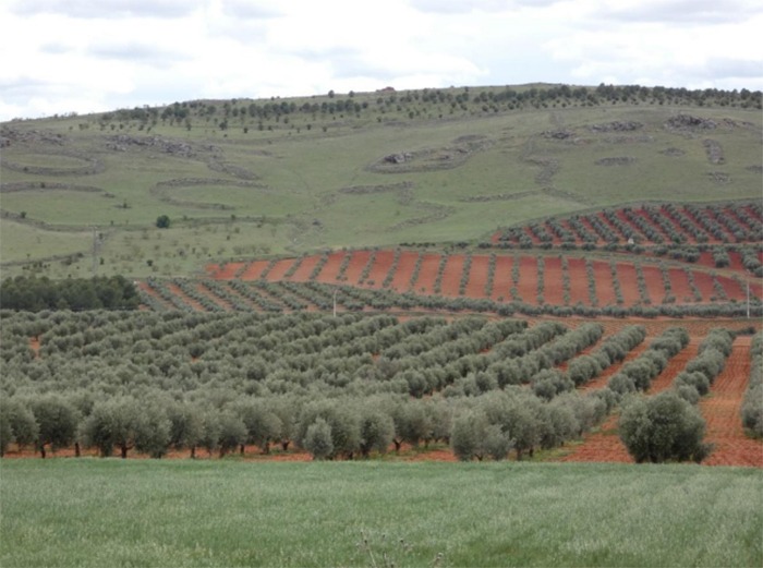 Cerro de la Cocinilla