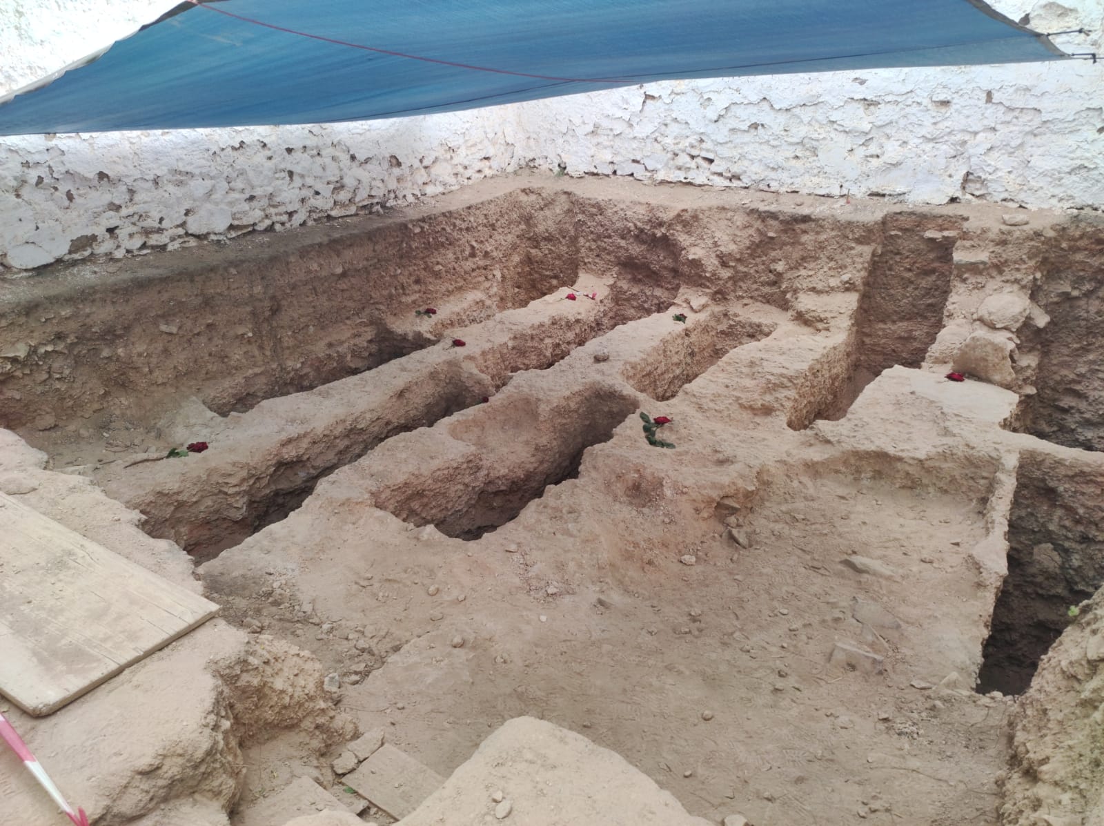 WhatsApp Image 2021-05-28 at 19.18.44