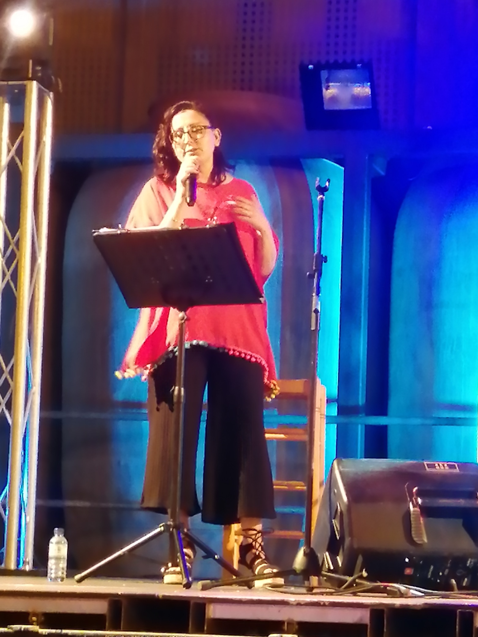 Tributo a Luz Casal (2)