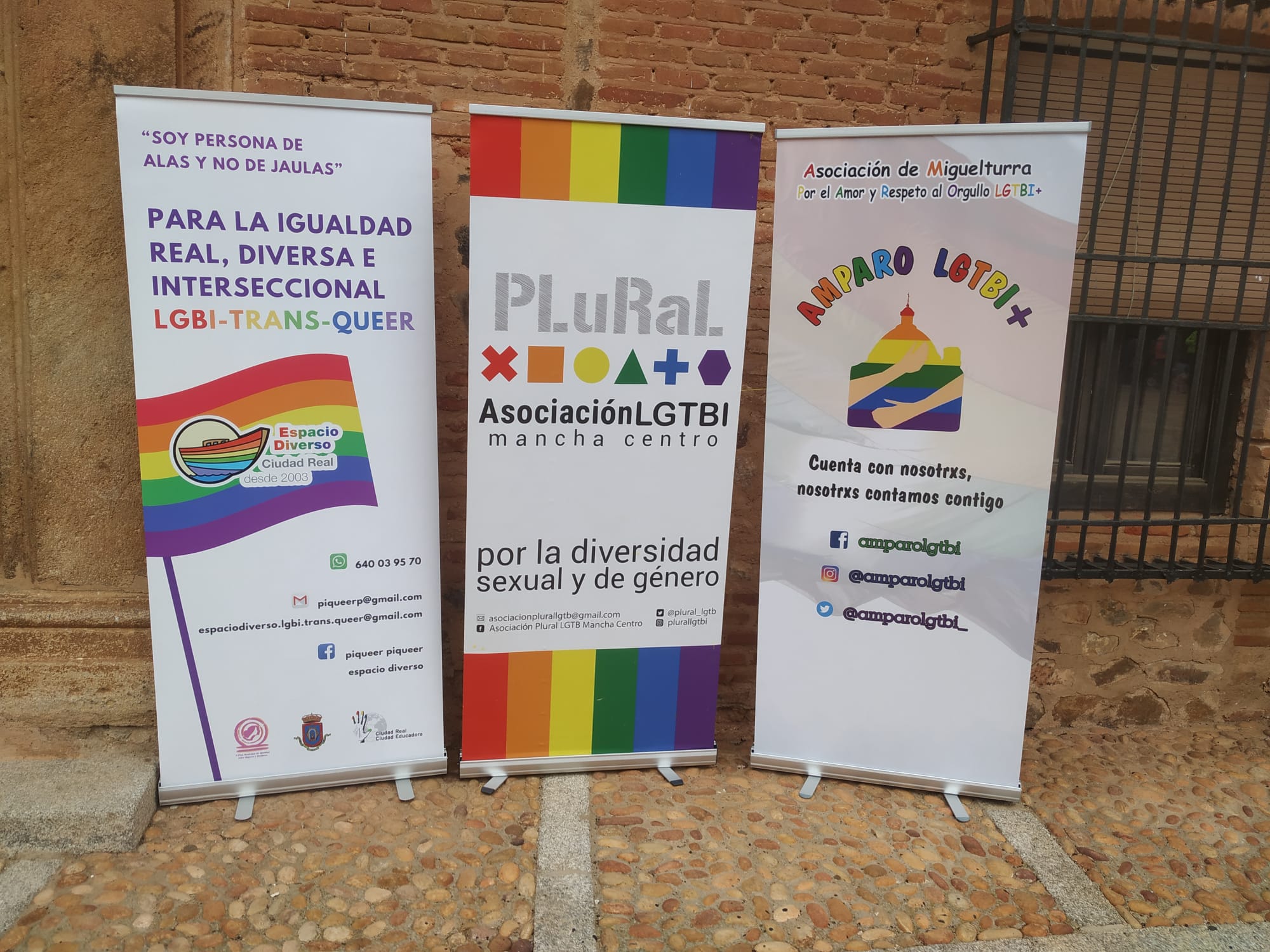 Orgullo Provincial LGTBI