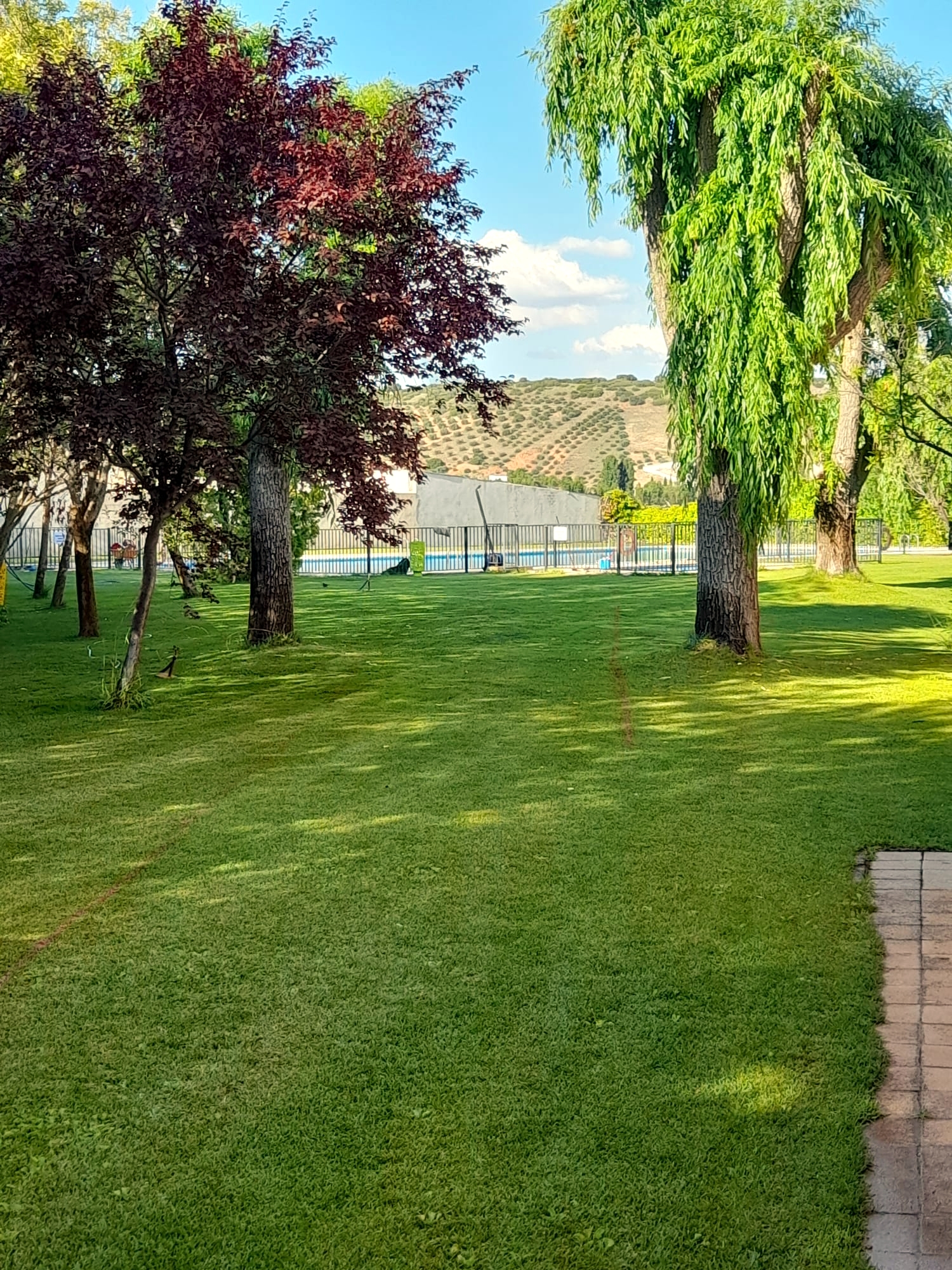 Piscina de Carrizosa