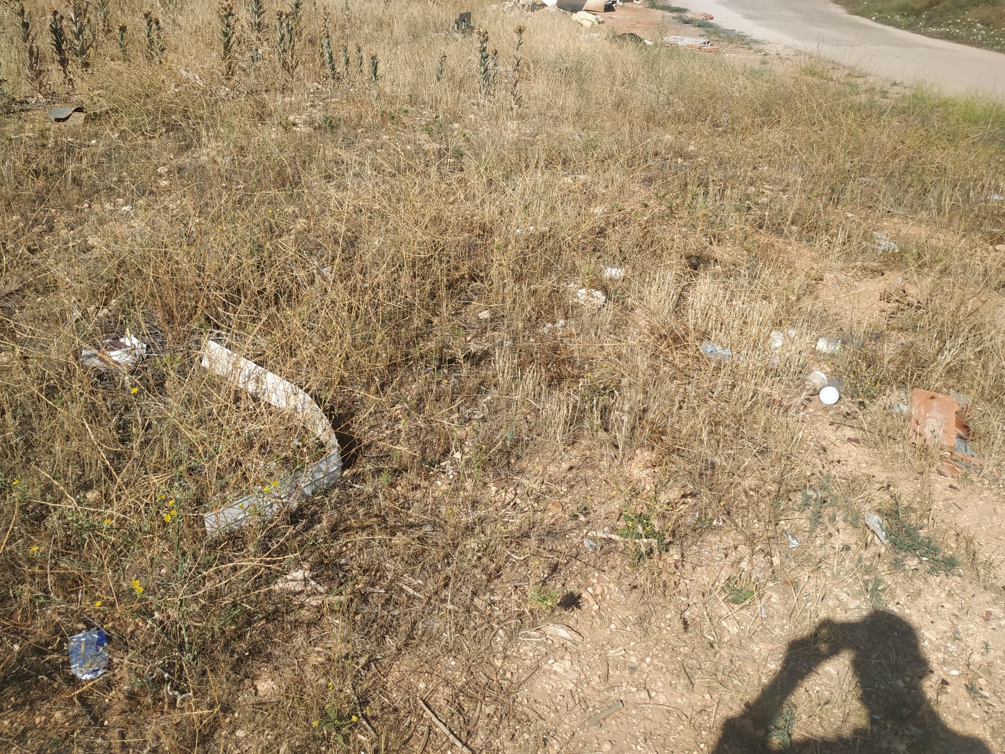 Basura en el camino del Ratón