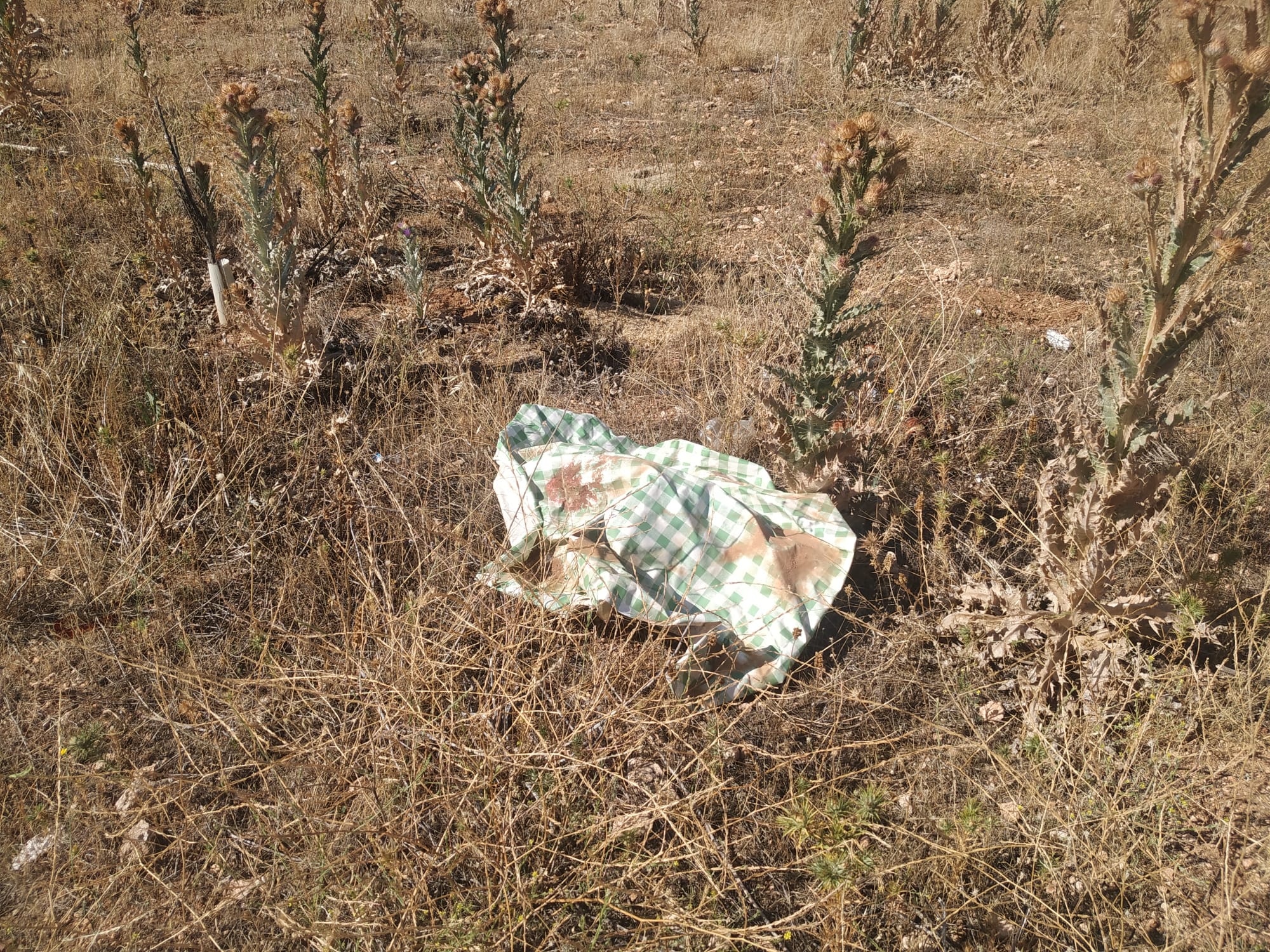Basura en el camino del Ratón