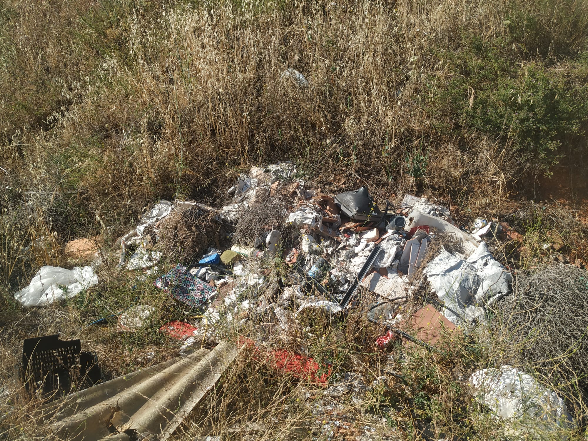 Basura en el camino del Ratón