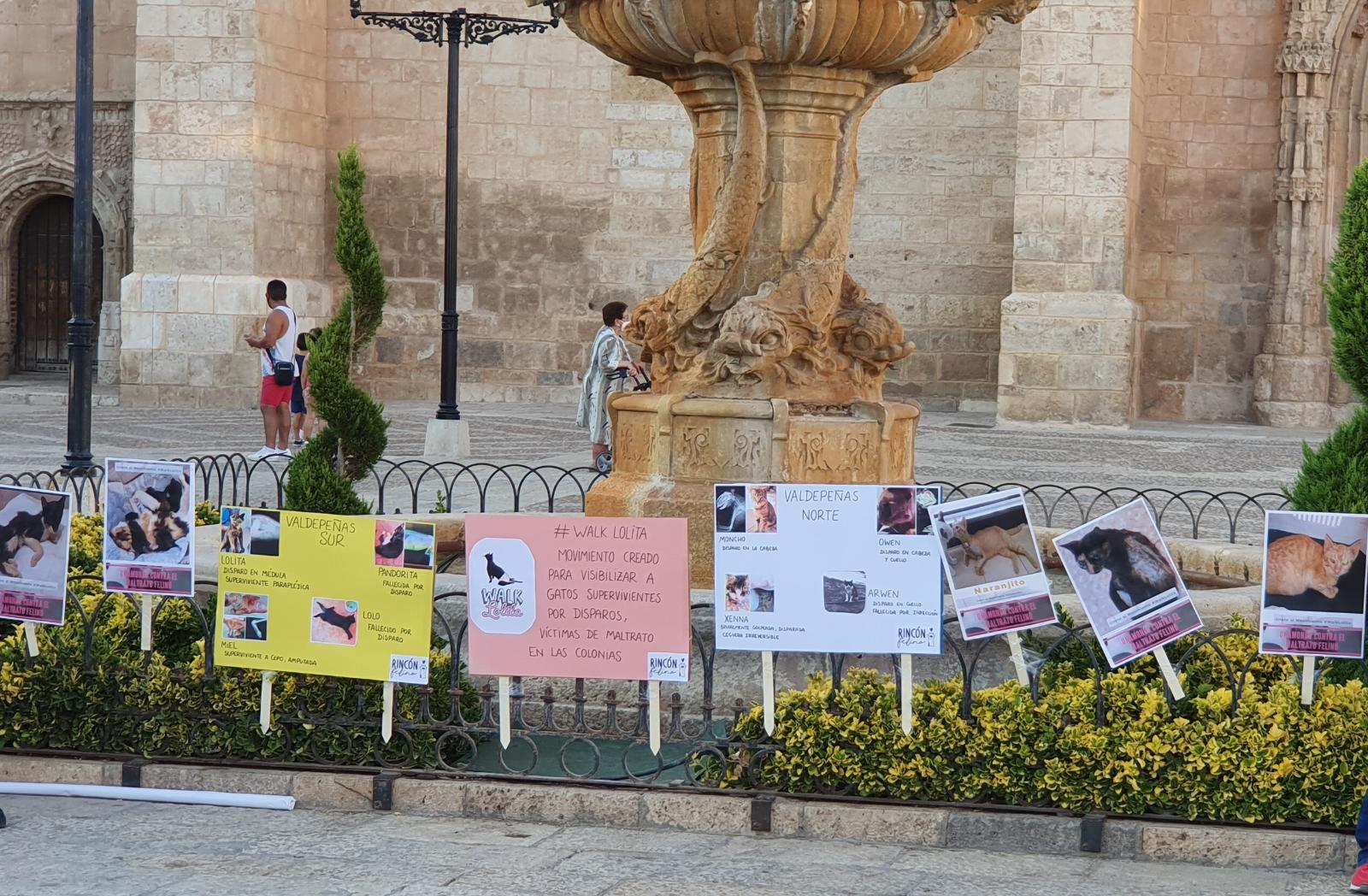 Manifestación en la Plaza de España de Valdepeñas contra el maltrato de gatos