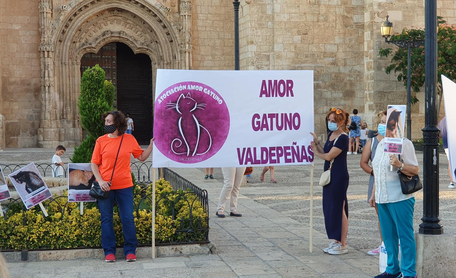 Manifestación en la Plaza de España de Valdepeñas contra el maltrato de gatos