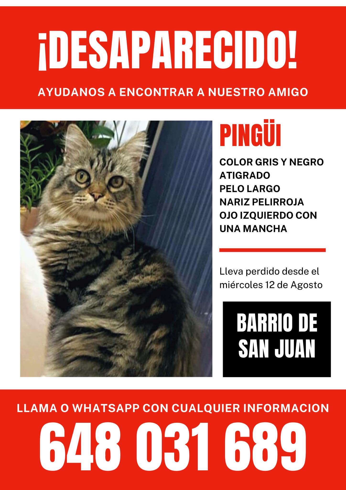 235331566_633027661007766_4007826728261877668_n