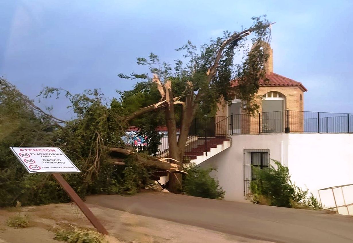 Árbol caído sobre la ermita de San Cristobal
