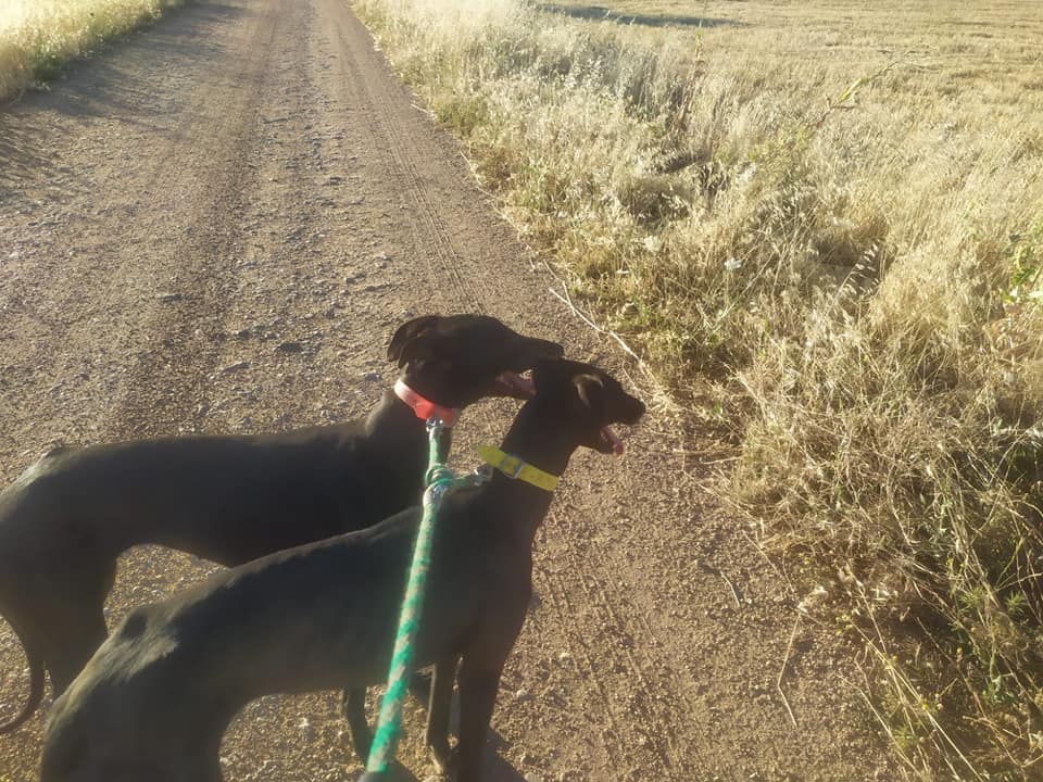 238935663_10220018569716437_6539169719176524537_n