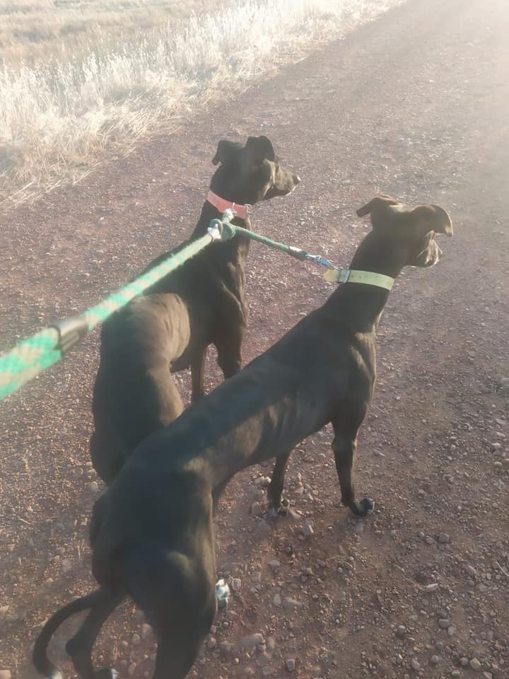 239305114_10220018570516457_612488441402294002_n