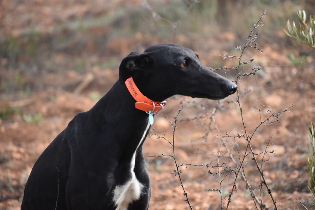 WhatsApp Image 2021-08-18 at 11.06.36