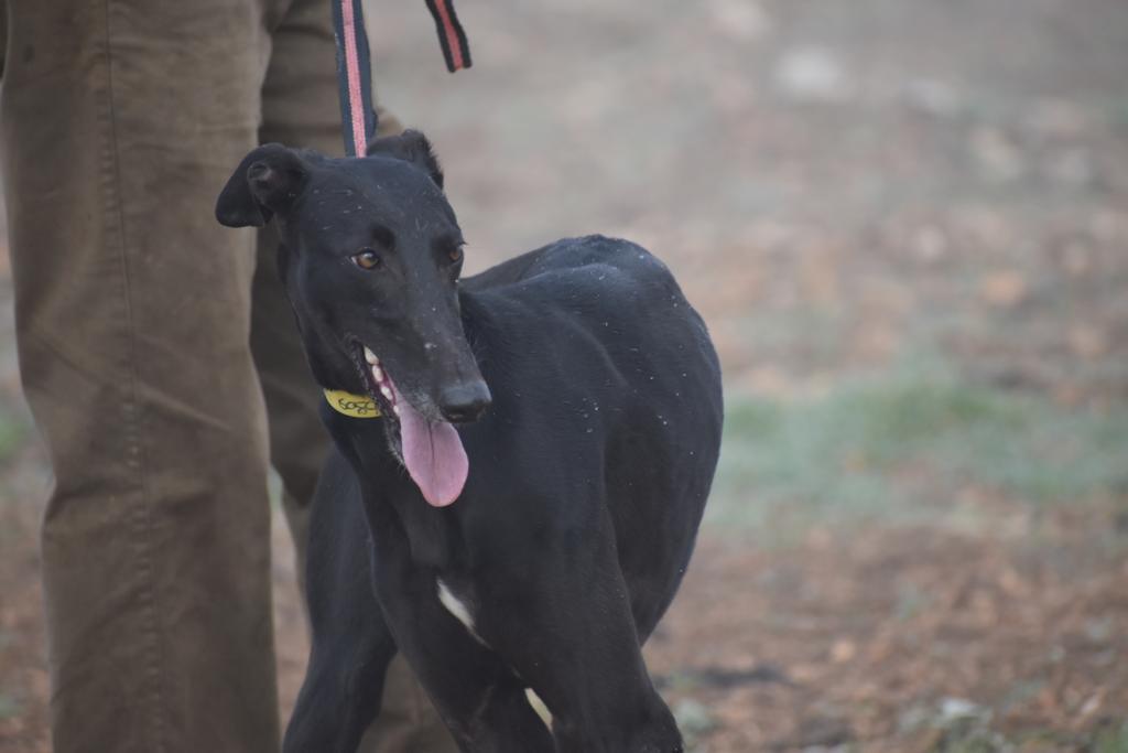 WhatsApp Image 2021-08-18 at 11.06.35