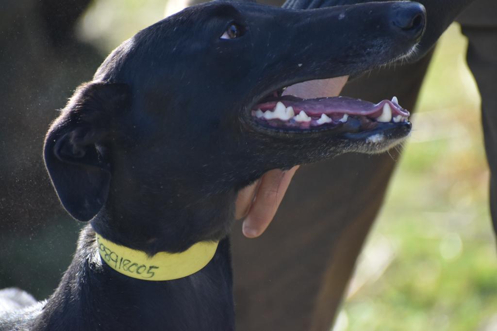 WhatsApp Image 2021-08-18 at 11.06.36 (1)