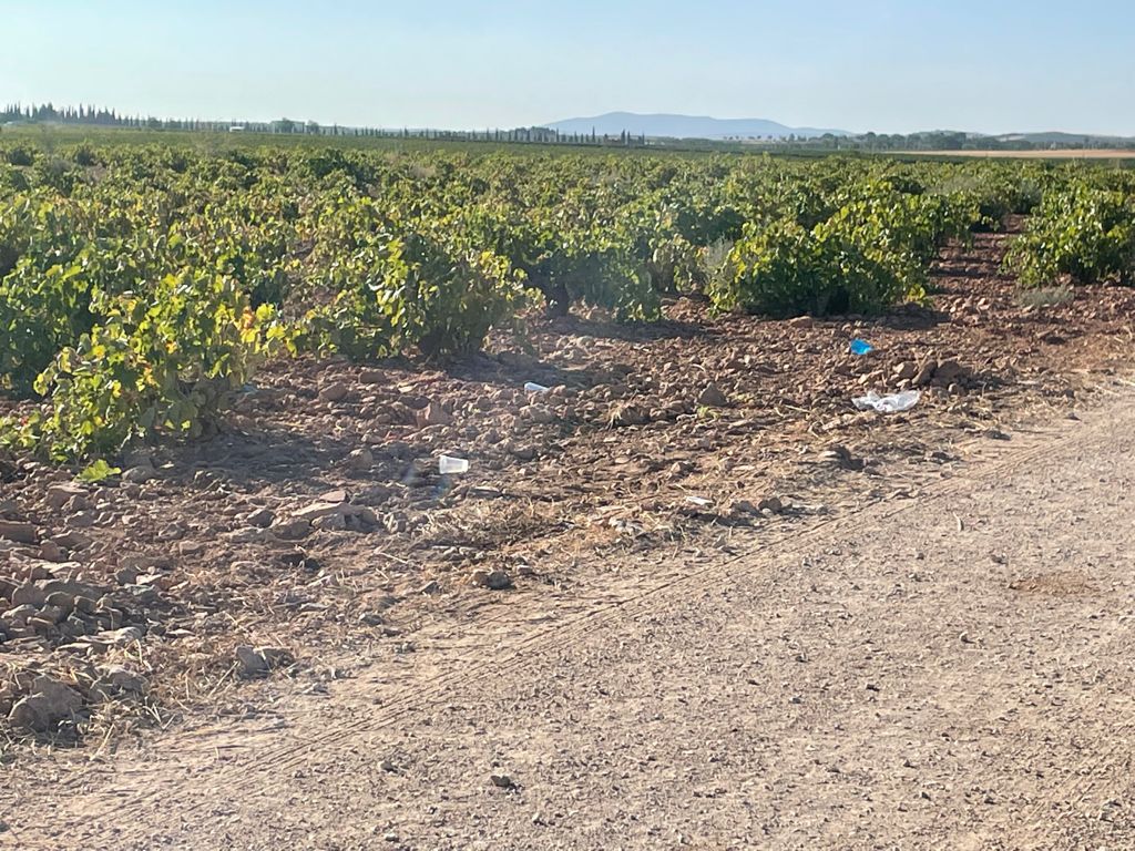 Restos de botellón en la prolongación del camino de Membrilla de Valdepeñas