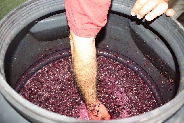 WhatsApp Image 2021-08-30 at 12.59.16