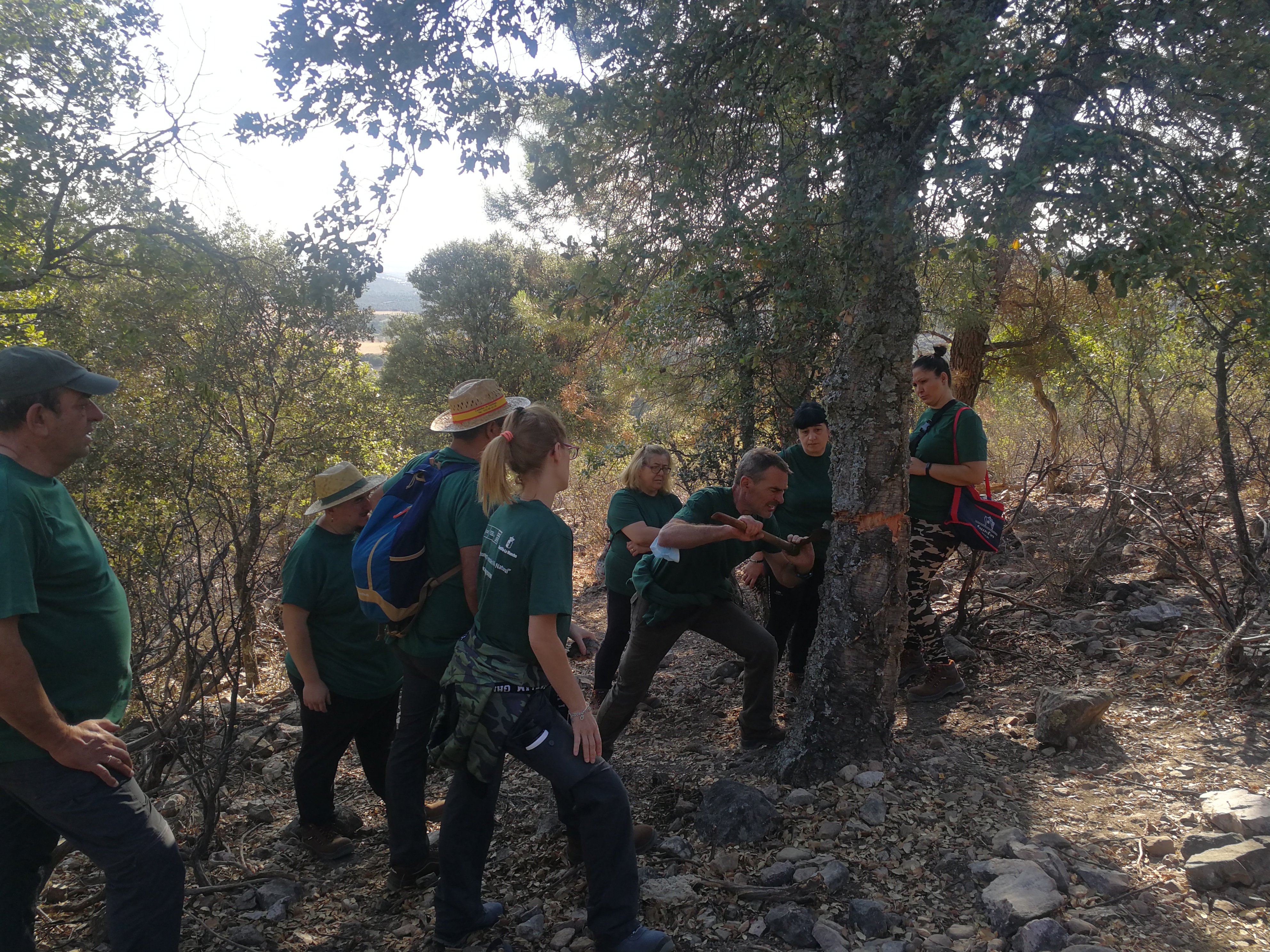 Alumnos del programa de Recualificación y Reciclaje Profesional (RECUAL) “Aprovechamientos Forestales Viso Natural” realizando labores de descorche en Viso del Marqués
