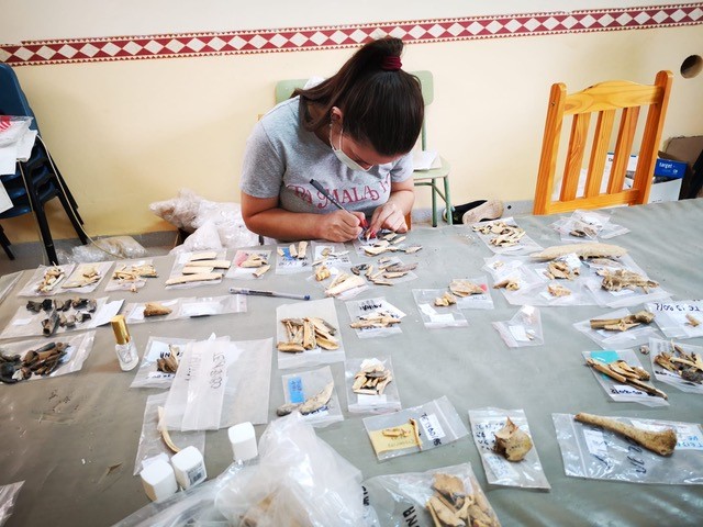Campaña arqueológica en el Castillejo del Bonete (Terrinches)