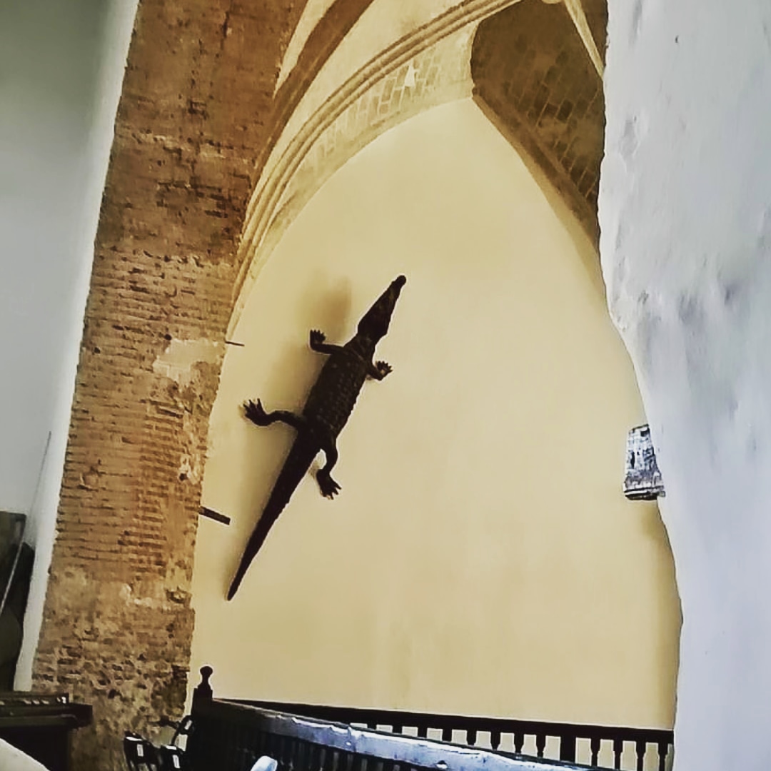 Lagarto de La Asunción de Viso del Marqués