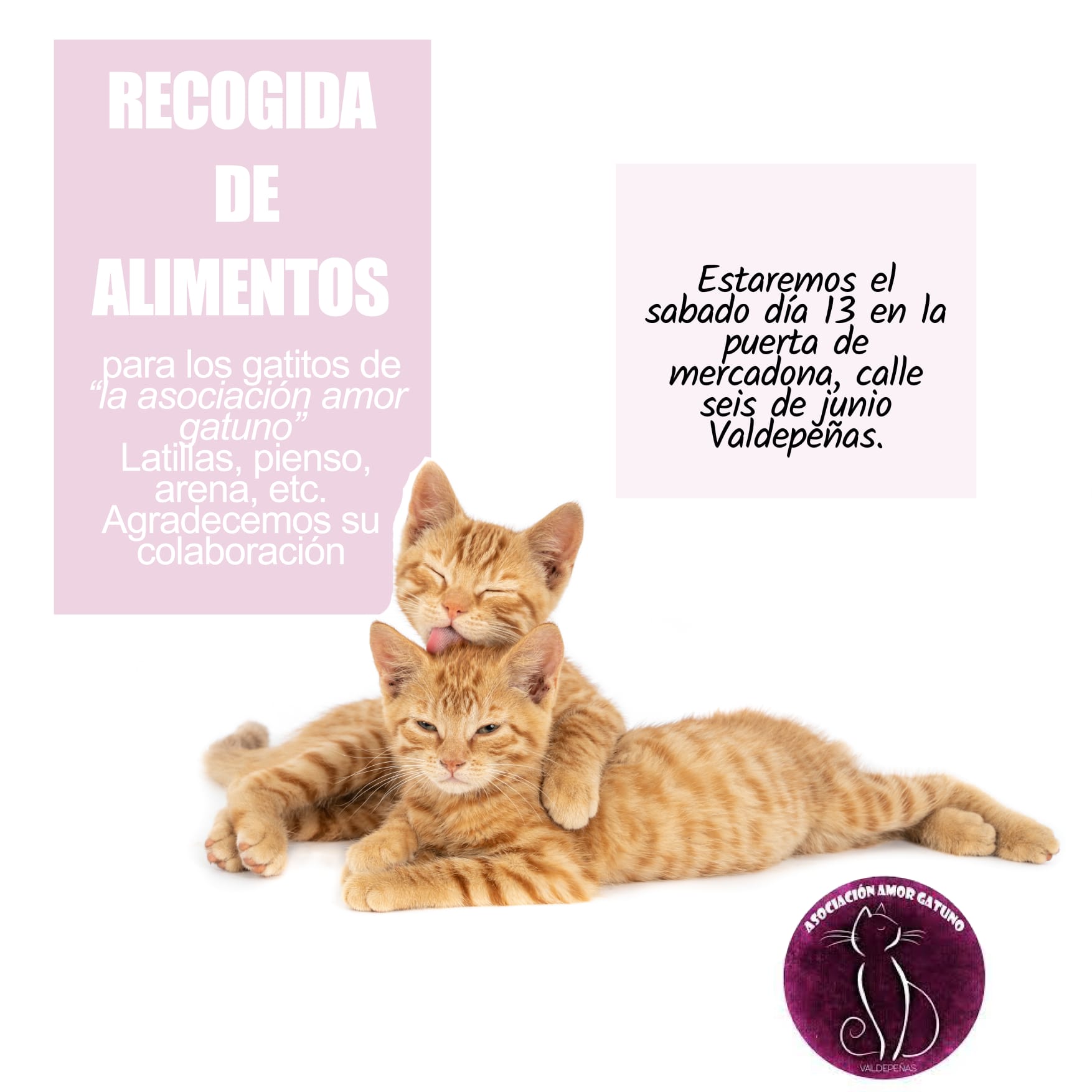 b86acf59-0e3e-4c80-8e2f-88d54ab1ec49