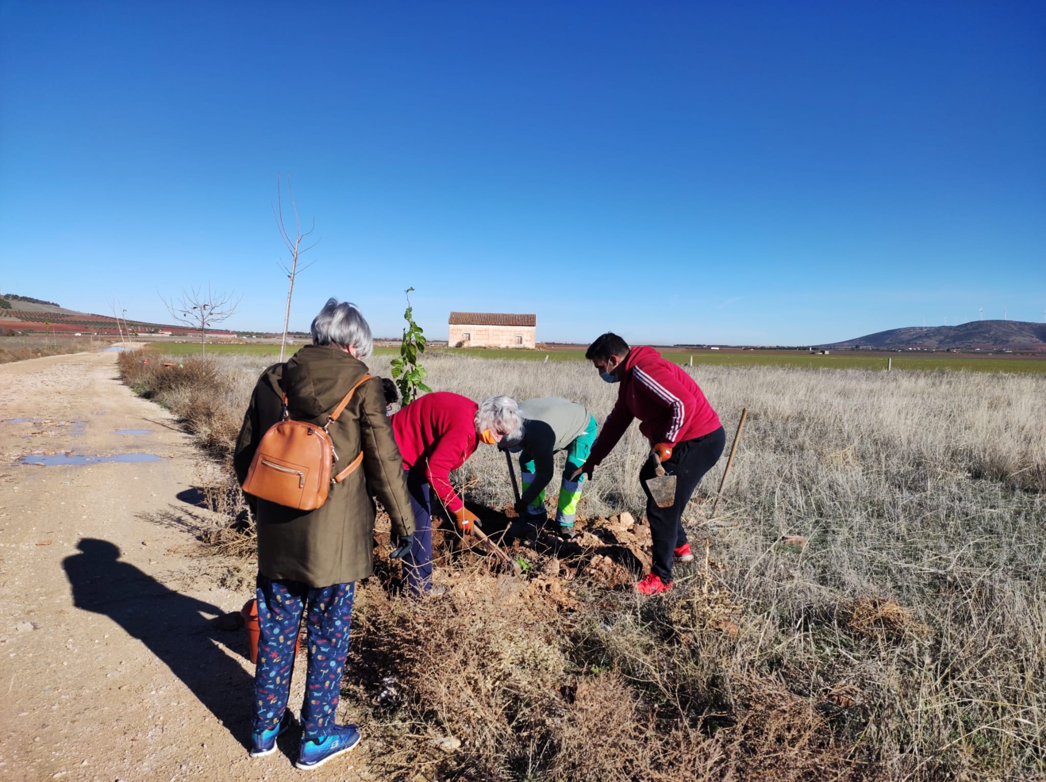 Alumnos de la Universidad Popular de Valdepeñas plantando árboles