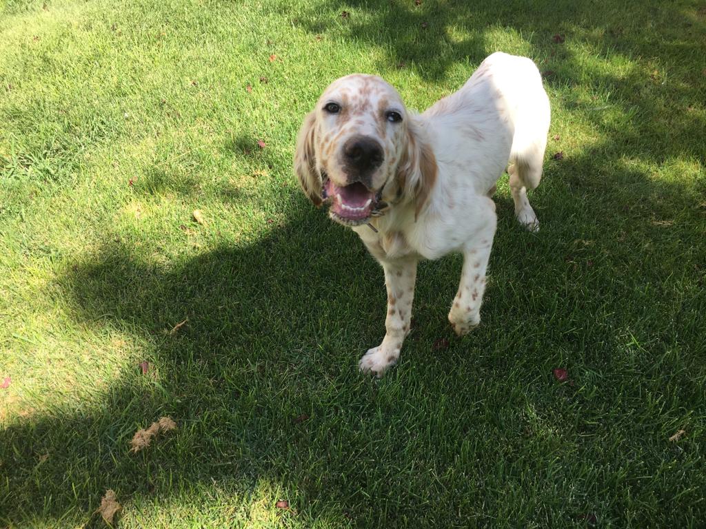 WhatsApp Image 2021-12-13 at 10.16.44