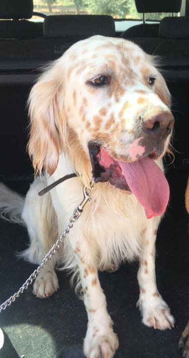 WhatsApp Image 2021-12-13 at 11.43.38