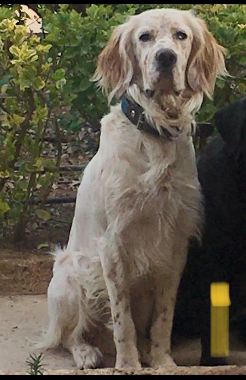 WhatsApp Image 2021-12-13 at 10.17.11