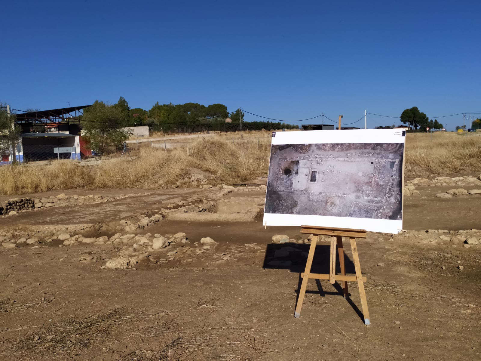 Visitas bodega romana