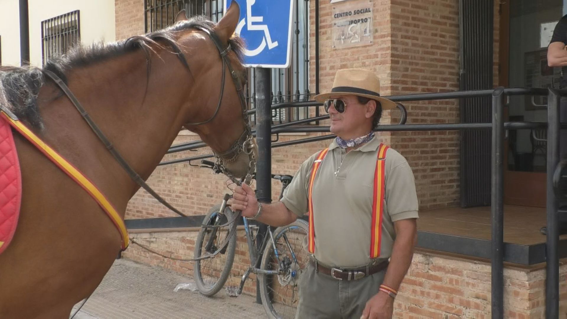 FOTO CABALLO VOX2