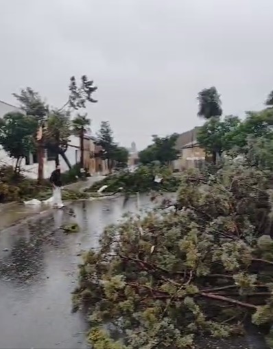 La entrada por la carretera de Torrenueva, la más afectadas