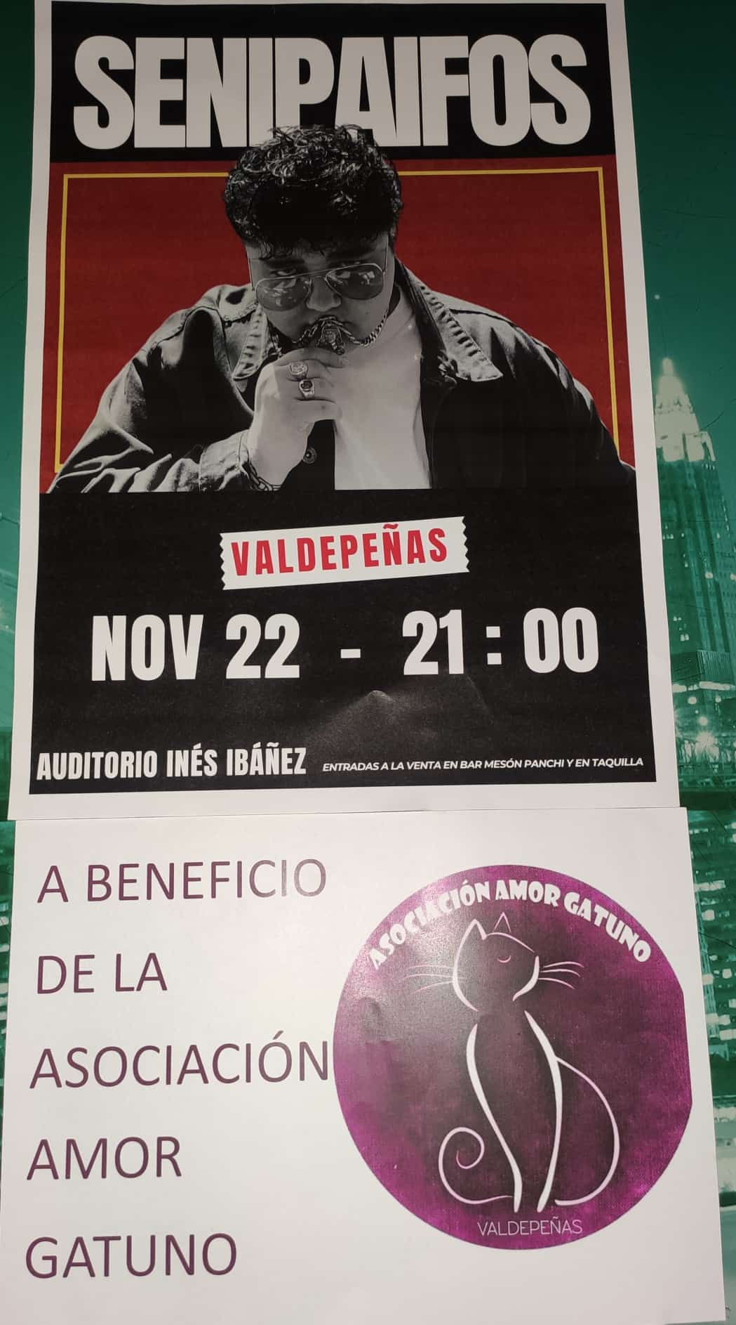 WhatsApp Image 2025-11-10 at 13.12.39