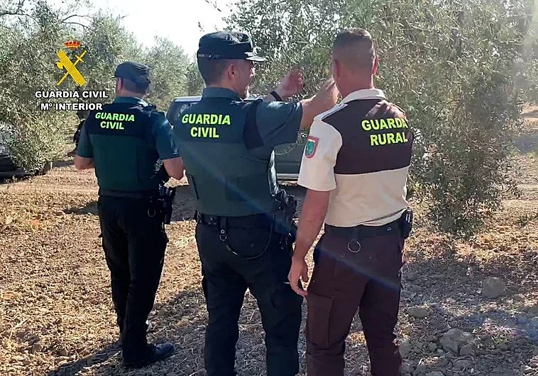 Archivo Guardia Civil campaña prevención de robo de aceituna