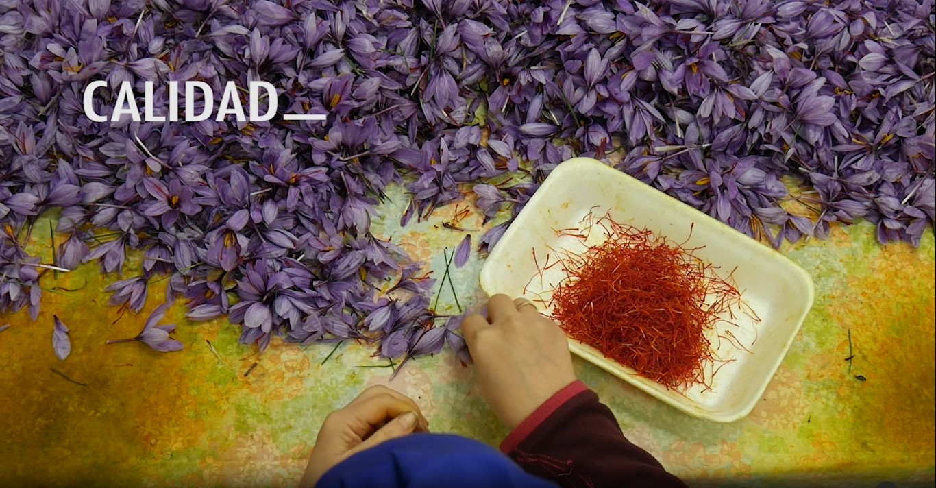 Web Denominación de Origen Azafrán de La Mancha