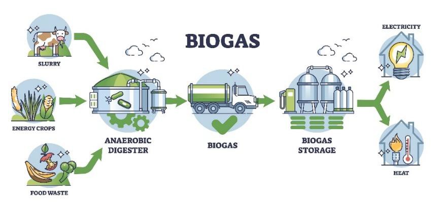 BIOGÁS1