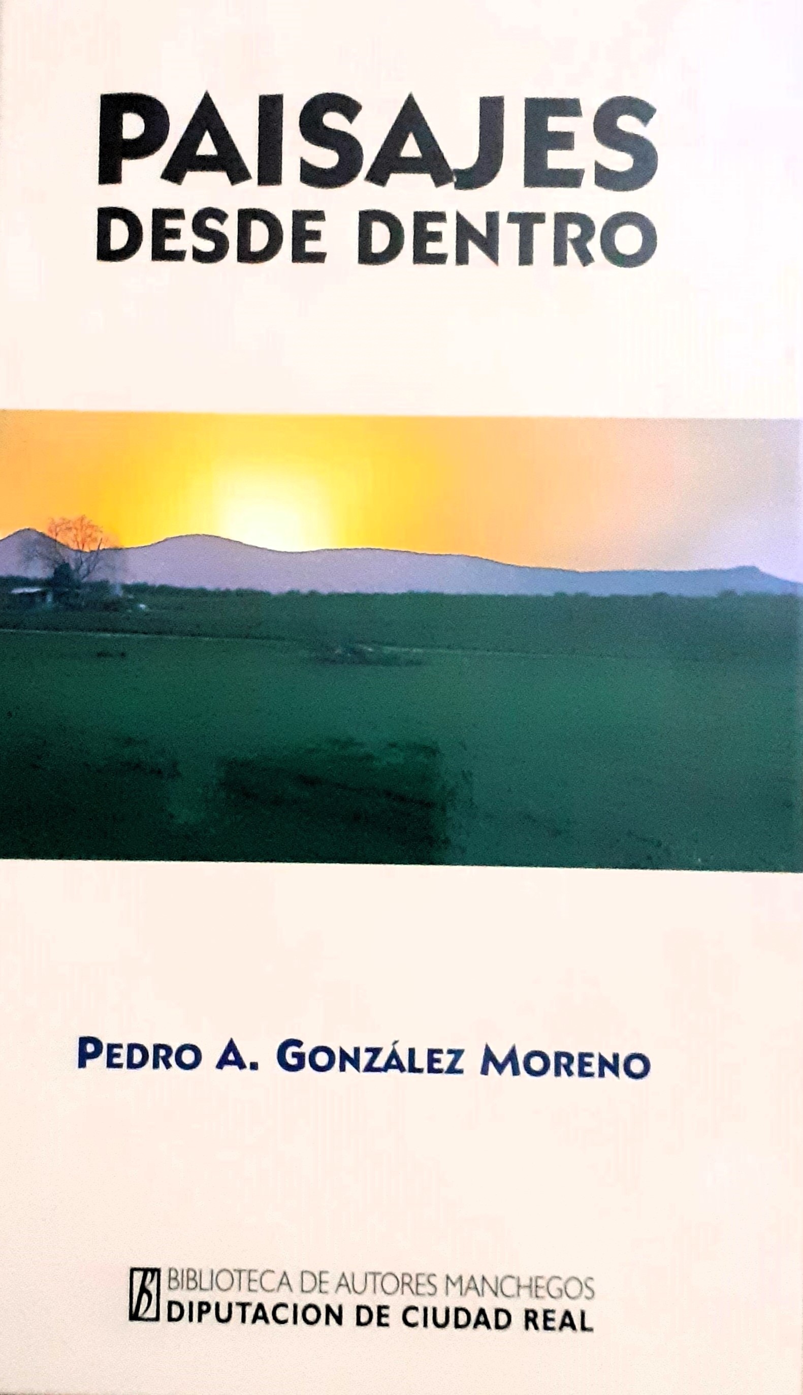 Paisajes desde dentro