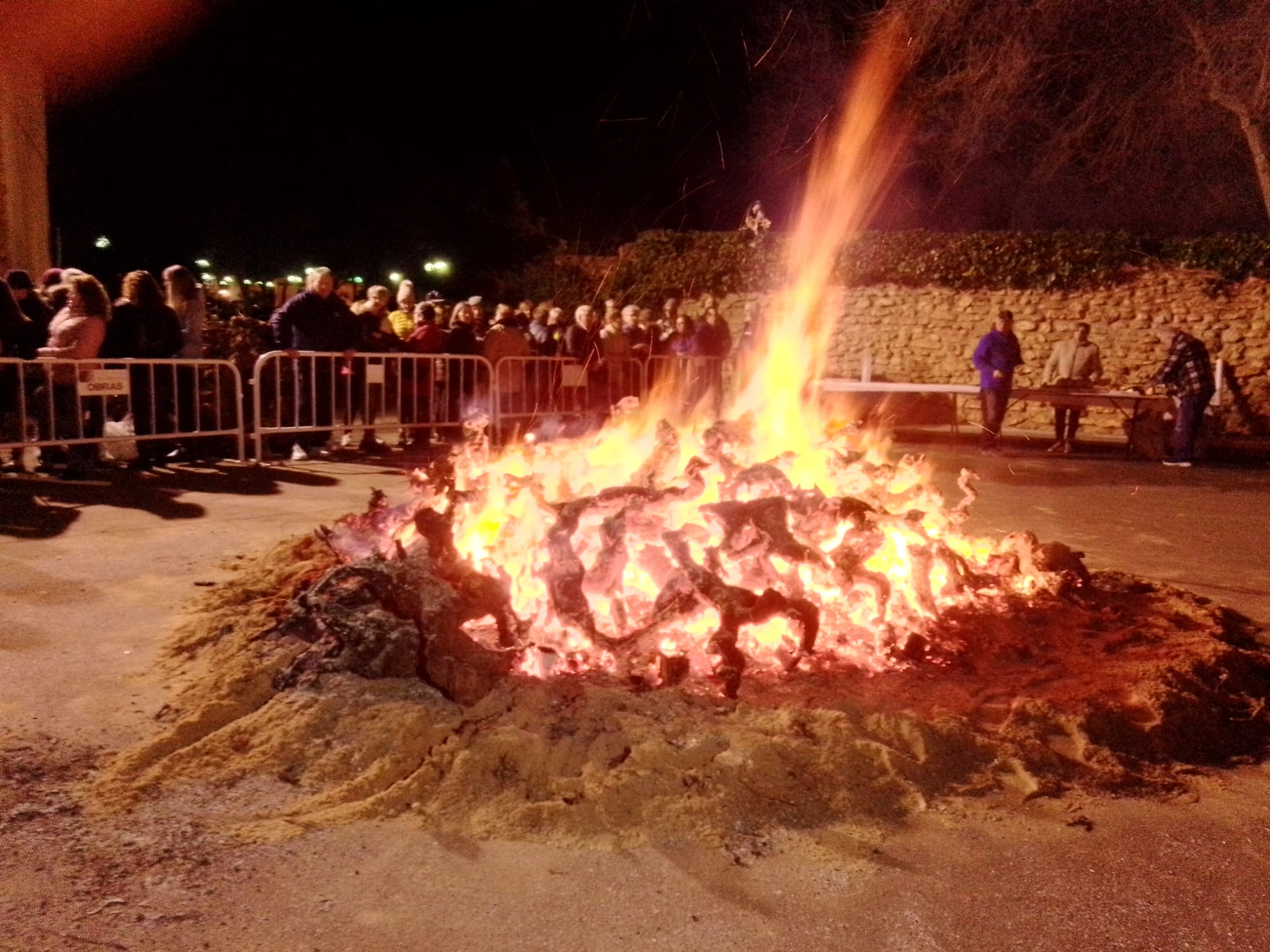 WhatsApp Image 2026-01-17 at 10.55.02