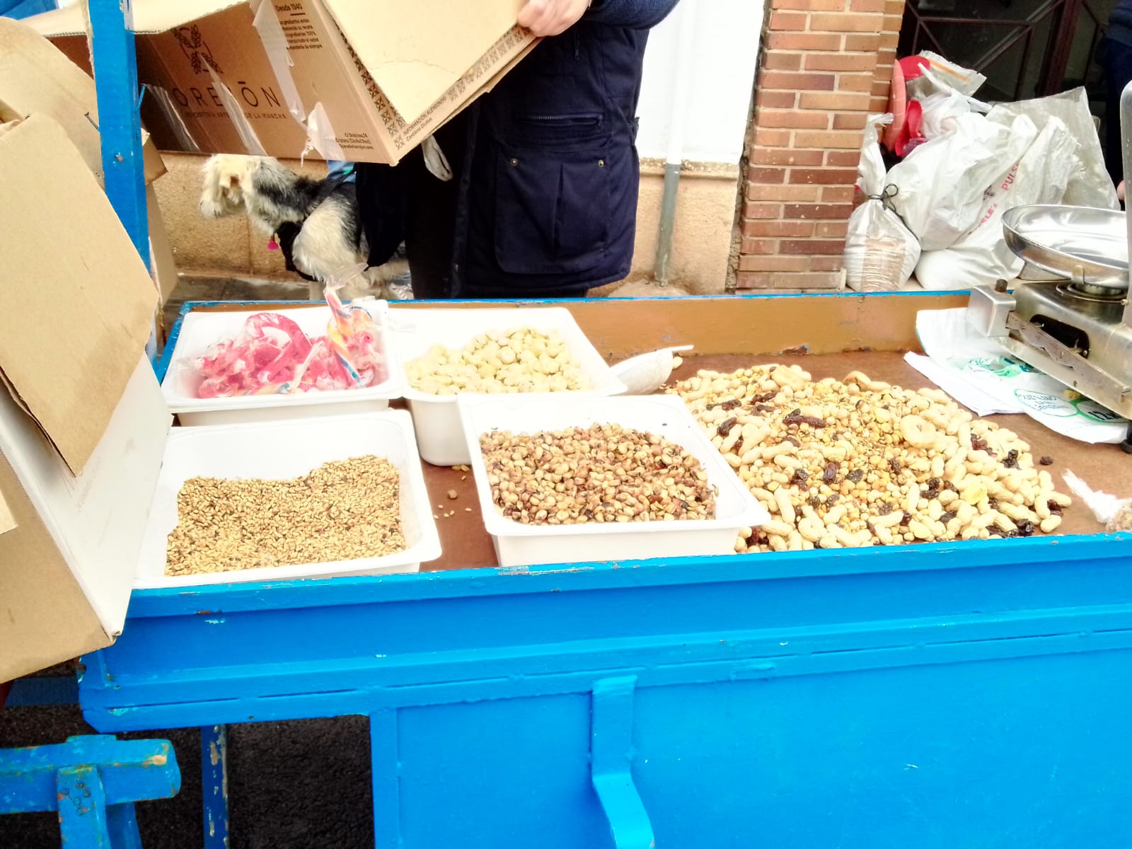 WhatsApp Image 2026-01-17 at 16.57.36