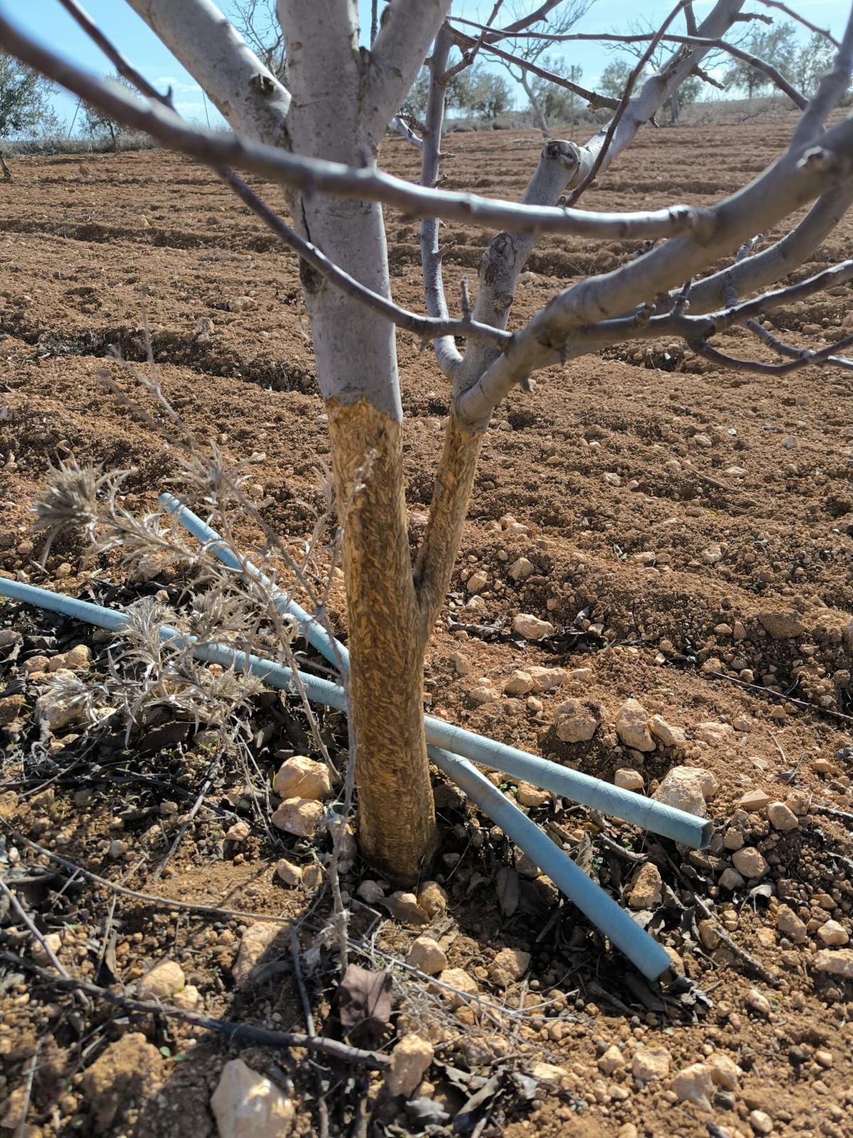 WhatsApp Image 2026-01-23 at 13.08.24