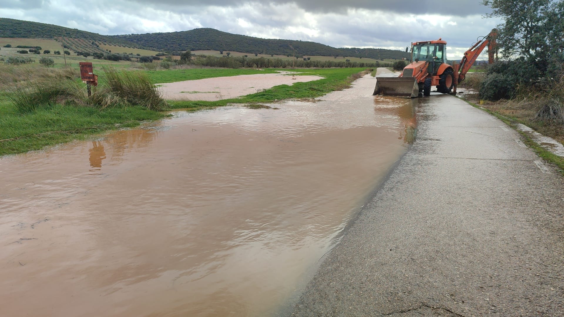 WhatsApp Image 2026-01-28 at 21.19.47