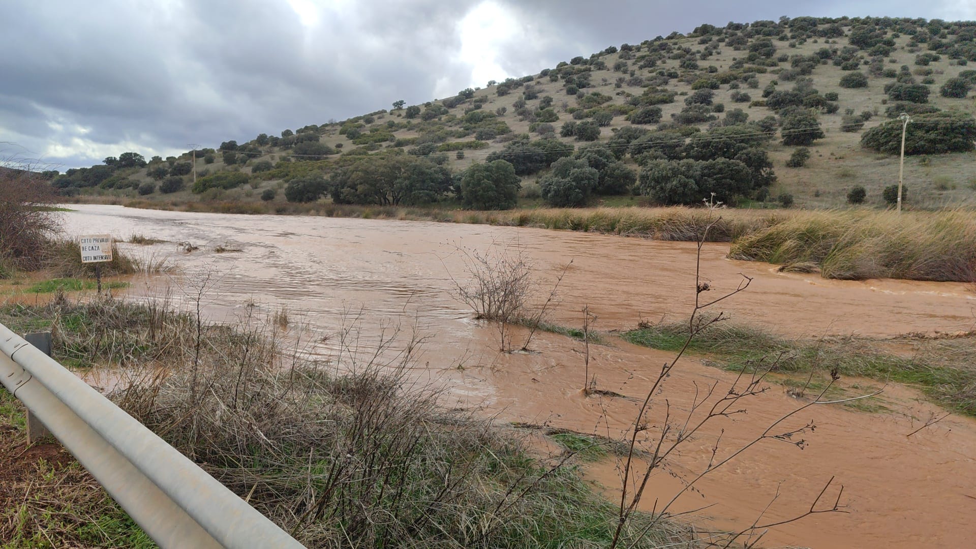 WhatsApp Image 2026-01-28 at 21.19.47 (1)