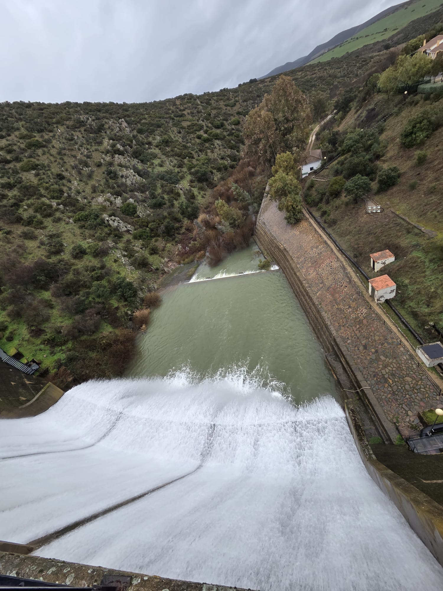 WhatsApp Image 2026-01-29 at 13.42.17